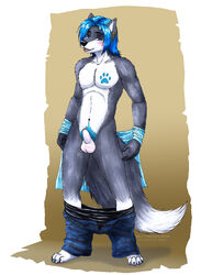 1boy anthro balls blush canine clothes flaccid fur furry looking_at_viewer male male_only pants sheath solo standing undressing vani-fox wolf