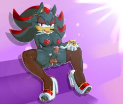 shade the hedgehog from sega by cuisine