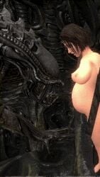 alien_(franchise) animated belly belly_movement big_breasts breeding_slave female fetal_movement grainy imminent_birth imminent_death jill_valentine low_res lowres naked nude predalien pregnant resident_evil veltro01