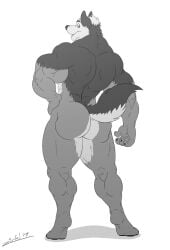 1boy anthro artist_logo artist_name ass bara beefy biceps black_fur body_fur canine exhibitionism fluffy_tail green_eyes grey_fur hi_res juano looking_back male male_only mammal masculine muscles muscular_anthro muscular_butt muscular_male no_visible_genitalia nude_male open_mouth pose presenting_hindquarters raised_tail solo tail thick_thighs wolf ziude