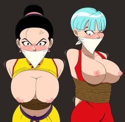 2d 2girls 2milfs angry angry_face annoyed annoyed_expression big_breasts bondage bound breasts bulma bulma_briefs bulma_briefs_(majin_buu_saga) chichi dragon_ball dragon_ball_z gag gagged multiple_girls nipples no_penetration no_sex tied_up tits_out