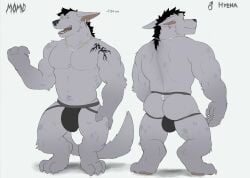 anthro biceps bulge clothing ear_piercing flaccid fleshformomo fur hi_res hyena jockstrap male male_only mammal model_sheet momo_(fleshformomo) muscular muscular_anthro muscular_male pawpads piercing solo solo_male taim underwear