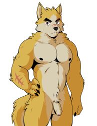 1boy anthro canid canine cooper_krager genitals humanoid humanoid_genitalia male male_only mammal muscular muscular_male official_art pecs remember_the_flowers solo solo_male visual_novel