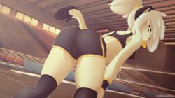 1girls anthro ass black_socks black_stockings blonde_female blonde_hair blonde_hair_female bra eipril female fur furry gold_eyes golden_eyes gym gym_bottomwear gym_clothes gym_clothing gym_shirt gym_shorts gym_uniform gymnasium legs legwear long_socks long_stockings looking_at_viewer original original_character ponytail smiling smiling_at_viewer tail thigh_high_socks thigh_high_stockings thigh_highs thigh_socks thighhigh_socks thighhigh_stockings thighhighs thighs tight_clothing tight_fit volleyball_net volleyball_shorts volleyball_uniform wristband wristbands yellow_eyes yue_(eipril)