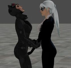 2girls 3d alstair2 batman_(series) black_cat_(marvel) catwoman catwoman_(arkham) crossover crotch cuntbusting dc felicia_hardy female female_only human human_only lowblow marvel no_bra selina_kyle spider-man_(series) unzipped unzipped_bodysuit