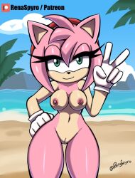 2024 accessory amy_rose anthro areola artist_name beach big_breasts black_nose breasts clothing cloud detailed_background eulipotyphlan eyelashes female genitals gesture gloves green_eyes hair hair_accessory hairband half-closed_eyes hand_gesture hand_on_hip handwear hedgehog innie_pussy looking_at_viewer mammal mostly_nude narrowed_eyes navel nipples outside palm_tree patreon pink_areola pink_hair pink_nipples plant pussy renaspyro sand sea sega short_hair sky smile solo sonic_(series) sonic_the_hedgehog_(series) standing thick_thighs tree v_sign water