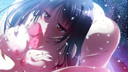 areolae black_hair blush breasts female field flower flower_field game_cg long_hair male minori natsuzora_no_perseus night nipples nude open_mouth outdoors paizuri penis petals red_eyes shouna_mitsuishi straight tohno_ren uncensored yuzuna_hiyo