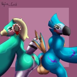 absurd_res amali_(tloz) anthro anus ass avian balls bodily_fluids breath_of_the_wild duo female genitals hi_res kass_(tloz) male male/female nintendo presenting presenting_hindquarters pussy rito sweat sweaty_balls sweaty_butt sweaty_genitalia the_legend_of_zelda vulpine_corvid