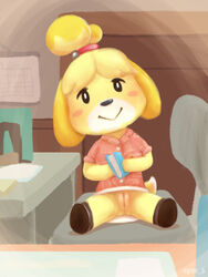 2020 3:4 animal_crossing anthro bottomless canid canine canis clothed clothing female footwear fur furry furry_only genitals hi_res inside isabelle_(animal_crossing) looking_at_viewer mammal nintendo no_underwear pussy shoes sitting solo spread_legs spreading syoee_b tail video_games