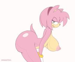 amy rose from sonic (series) by orange-peel