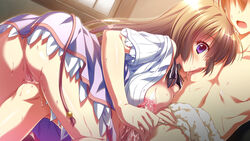 Areolae Rule 34 Image