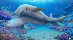 2025 2_penises ambient_fish ambient_sealife animal_genitalia anthozoan artist_logo bite biting_another biting_partner black_eyes bodily_fluids brooce caustics cetacean claspers cnidarian coral coral_reef cravenexx cum cum_from_vagina cum_in_vagina cum_inside devy_(fischie) diphallism dolphin dorsal_fin duo erection female female_feral female_penetrated feral feral_on_feral feral_penetrated feral_penetrating feral_penetrating_feral fin fish flukes genital_fluids genitals gills hi_res interspecies logo male male/female male_feral male_penetrating male_penetrating_female mammal marine multi_genitalia multi_penis pectoral_fin penetration penile penile_penetration penis penis_in_vagina sex shark toothed_whale underwater vaginal_penetration vaginal_penetration vulva water