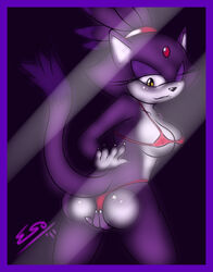 ass blaze_the_cat breasts feline female furry pherociouseso sonic_(series) wink