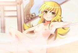 artist_request bakemonogatari blonde_hair breasts looking_at_viewer monogatari_(series) nude oshino_shinobu tsukimonogatari water yellow_eyes