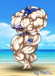 abs biceps breasts fairy_tail female matl muscles muscular muscular_arms muscular_female muscular_legs muscular_thighs pecs