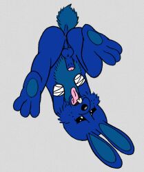 amputee anthro anus ass attempted_autofellatio balls bandage bandaged_arm black_eyes black_nose blue_body blue_fur broadside_beach buckteeth countershade_tail countershade_torso countershading disability erection freckles fur genitals hi_res humanoid_genitalia humanoid_penis lagomorph legs_in_air lendri_mujina leporid male mammal pawpads penis perineum rabbit reaching shipwrecked_64 simple_background solo stumbler_o'hare tail teeth tongue tongue_out upside-down