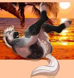 andromorph anthro anus ass beach blush cuntboy equid equine fur genitals grey_body grey_fur hair hi_res hooves horse intersex legs_up long_labia lying mammal mottled mottled_body mottled_fur nude on_back presenting presenting_hindquarters pussy sea slushee. solo sunset water white_hair