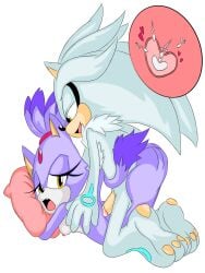 blaze_the_cat female j_nsfw silver_the_hedgehog sonic_(series) sonic_the_hedgehog_(series)