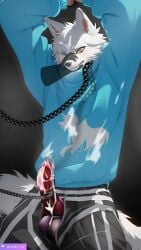 1boy furry gay mysticat_(youtuber) tagme