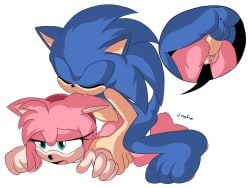 amy_rose female j_nsfw sex sonic_(series) sonic_the_hedgehog sonic_the_hedgehog_(series)