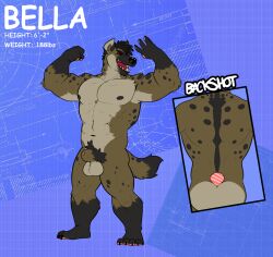 2023 abs animal_genitalia anthro balls fur genitals hi_res hyena male mammal manly model_sheet musclegut muscular nipples nude penis pubes sheath solo wildside