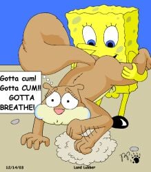 2003 anthro asphyxiation balls blue_eyes brown_body brown_fur cunnilingus drowning duo eyelashes female fluffy fluffy_tail freakbob_pisspants fur genitals holding_breath kthanid_(artist) male male/female mammal nickelodeon nude oral penis pink_nose rodent sandy_cheeks sciurid sea_sponge sex spongebob_squarepants spongebob_squarepants_(character) tail tree_squirrel underwater vaginal_penetration water yellow_body