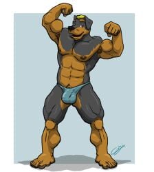 5_fingers 5_toes abs anthro armpit_tuft black_body black_fur black_nose blonde_hair border brown_body brown_eyes brown_fur brown_nipples brown_pawpads bulge canid canine canis cel_shading chestnuts_(artist) claws clothed clothing detailed_bulge domestic_dog feet fingers fist flexing flexing_bicep flexing_both_biceps floppy_ears full_foot_pawpads fur genital_outline grey_background grey_claws hair humanoid_feet leg_markings looking_at_viewer male mammal markings mastiff molosser multicolored_body multicolored_fur muscular muscular_anthro muscular_male navel nipples open_mouth pawpads pecs penis_outline plantigrade pose pubes rottweiler shaded simple_background smile socks_(marking) solo standing thick_thighs thong thong_only toe_claws toes topless two_tone_body two_tone_fur underwear underwear_only whisker_spots white_border