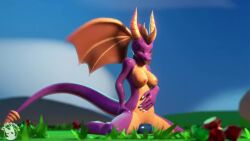 1girls animated animation anthro blue_dildo bouncing breasts cgi_animation dildo dildo_in_pussy endless_loop evilbanana female_masturbation female_spyro genderswap_(mtf) loop masturbating masturbation naked no_sound orgasm outdoors purple_dragon purple_tail pussy red_wings riding_on_dildo rubbing_pussy rule_63 scalie spyra spyro spyro_the_dragon tagme vaginal_penetration video yellow_horns