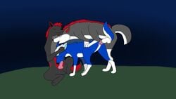 3boys anthro black_fur blue_fur canine fellatio feral fur furry hunter_(oc) male male_only mammal no_humans oral original_character penis red_hair sex snowball_(oc) solareclipse23 spitroast wolf