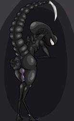 alien alien_(franchise) animal_humanoid anus ass big_butt black_body cel_shading claws digital_media_(artwork) erection eyeless genitals hi_res humanoid knot looking_at_viewer looking_back male nude penis presenting presenting_hindquarters shaded simple_background slit_penis smile solo spazlovesdew tail teeth xenomorph