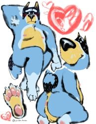 anthro armpit_hair armpits asshole bandit_heeler blue_fur blush canid canine dilf domestic_dog embarrassed feet heart male mature_male overweight overweight_male pawpads paws presenting_hindquarters solo solo_male