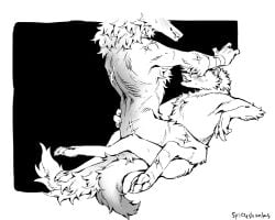 anthro arm_scar arm_tuft bent_legs big_bad_wolf_(shrek) black_and_white blush blush_lines bodily_fluids canid canine canis cheek_tuft chest_tuft claws cowgirl_position death_(puss_in_boots) dreamworks duo elbow_tuft facial_tuft fangs fluffy fluffy_tail from_front_position fuzzy grin intraspecies leaning leaning_backward looking_up male male/male mammal monochrome neck_tuft nude obscured_penetration on_bottom on_lap on_top pawpads puss_in_boots_(dreamworks) puss_in_boots_(film) puss_in_boots_the_last_wish scar scar_on_legs scar_on_shoulder scars_all_over scars_on_thighs scribbleshanks sex shrek_(series) signature simple_background size_difference smile straddling sweat tail teeth tuft waist_grab wolf wraps wrist_wraps