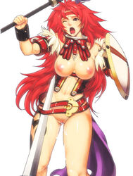 queen's_blade queen's_blade risty tagme