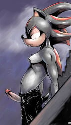 1boy anthro battle_angel beay black_eyes black_fur color erection fur furry furry_only hedgehog male male_only mammal partially_clothed penis shadow_the_hedgehog solo sonic_(series) sonic_adventure_2 sonic_the_hedgehog_(series) straight_hair