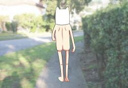 1boy adventure_time anonymous_artist ass cartoon_network casual finn_the_human headwear human light_skin light_skinned_male male male_ass male_only naked pale_skin photo_background public public_nudity