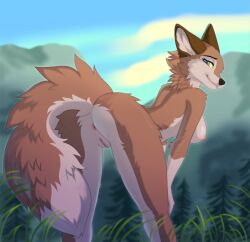 2024 aleu_(balto) anthro anthrofied anus ass balto_(series) bent_over black_nose blue_eyes breasts brown_body brown_fur canid canine canis digital_media_(artwork) female fur genitals hybrid ketty looking_at_viewer looking_back looking_back_at_viewer mammal multicolored_body multicolored_fur nature nipples nude outdoor_nudity outside presenting presenting_hindquarters presenting_pussy pussy smile solo spread_legs spreading standing tail tail_aside thigh_gap universal_studios wolf wolfdog