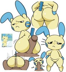 anal anal_sex anthro ass ass_focus bubble_butt buttjob dark_skin huge_ass human_on_anthro kissing_penis minun mouse penis pokémon_(species) pokemon pokemon_(species) pokephilia vilepluff