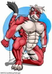 2024 abs angry anthro barazoku biceps big_muscles biped bound chained chains clenched_teeth collar cuff_(restraint) felid handcuffed handcuffs hi_res kneeling male mammal metal_collar metal_cuffs muscular muscular_anthro muscular_male muscular_sub on_one_knee pantherine pecs raised_tail restraints solo submissive tail tail_tied teeth tiger xedrykthedragon