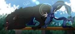 absurd_res all_fours anthro anthro_on_feral balls breasts canid canine canis duo dzira female feral genitals hi_res knotting male male/female mammal open_mouth side_view smile tongue tongue_out wolf zoophilia