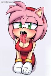 ai_generated amy_rose hedgehog_girl sonic_(series) sonic_(series) sonic_the_hedgehog sonic_the_hedgehog_(series) tagme
