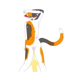 absurd_res alpha_channel anthro blush bodily_fluids calico_cat domestic_cat felid feline felis genital_fluids heart_pupils hi_res male male_peeing mammal nude omorashi peeing simple_background solo sparkat150 tears_of_relief tongue tongue_out transparent_background urine urine_stream yellow_urine