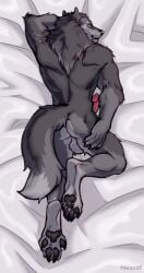 absurd_res animal_genitalia animal_penis anthro backsack balls biped canid canine canine_genitalia canine_penis canis claws dakimakura dakimakura_design erection fangs fingers fur genitals hi_res male mammal pawpads paws penis solo tail teeth tougu vargore wolf