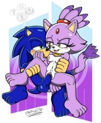 1boy1girl blaze_the_cat blush breasts feet feline female female_penetrated furry happy happy_sex hedgehog looking_at_another looking_pleasured male medium_breasts nipples penetration penis penis_in_pussy pussy sega sex sonic_(series) sonic_the_hedgehog sonic_the_hedgehog_(series) spindasher98 vaginal_penetration