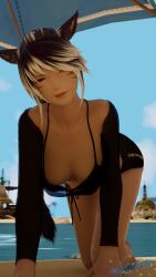miqo'te tagme