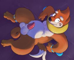 animal_genitalia anklet anthro balls beaded_anklet beaded_bracelet beaded_jewelry beads bed bedding bedding_background bracelet buizel dipstick_tail fur furniture generation_4_pokemon genitals hi_res jewelry looking_at_viewer looking_up looking_up_at_viewer lying lying_on_bed male markings nintendo on_back on_bed orange_body orange_fur penis pink_penis pokemon pokemon_(species) sheath slightly_chubby slightly_chubby_anthro slightly_chubby_male solo tail tail_markings tapering_penis verdantotter white_body white_fur white_tail_tip
