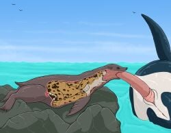 2026 ambient_bird ambiguous_feral ambiguous_gender ambiguous_penetrated ambiguous_pred animal_genitalia animal_penis anthro anthro_on_feral anthro_penetrated anthro_prey anus aquatic bestiality black_body breasts brown_body callie_(strega) cetacean cetacean_genitalia cetacean_penis cheetah deep_throat dolphin erection feet felid feline fellatio female female_anthro female_penetrated female_prey feral feral_on_feral feral_penetrated feral_penetrating feral_penetrating_anthro feral_penetrating_feral feral_pred flippers fully_inside fur genital_slit genitals group group_sex hi_res internal internal_oral large_penetration larger_feral larger_male male male/ambiguous male/female male_feral male_penetrating male_penetrating_ambiguous male_penetrating_female mammal markings membrane_(anatomy) nude nude_anthro nude_female oceanic_dolphin oral oral_penetration oral_vore orca penetration penile penile_penetration penis penis_in_mouth pinniped recursive_penetration sea sea_lion sex size_difference smaller_anthro smaller_female spots spotted_body spotted_fur strega tail tapering_penis threesome toes toothed_whale trio vore water webbed_feet whiskers white_body