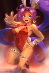 Shantae (Character) Rule 34 Image