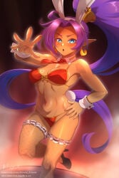 shantae (character) from shantae by hocen