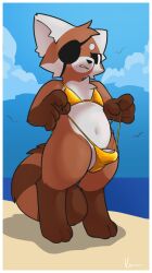 2026 ailurid anthro bikini bikini_bottom bikini_top biped cheek_tuft chest_tuft circle_eyebrows clothed clothed_anthro clothed_male clothing cloud countershading digital_drawing_(artwork) digital_media_(artwork) digitigrade eye_patch eyebrows eyewear facial_tuft fluffy fluffy_tail gloves_(marking) gold_bikini half-closed_eyes head_tuft konen leg_markings looking_at_viewer male mammal markings narrowed_eyes navel one_eye_obstructed outside pinup pose red_panda shaded signature skimpy sky slim slim_anthro slim_male socks_(marking) soft_shading solo standing striped_markings striped_tail stripes swimwear tail tail_markings thick_thighs three-quarter_view tuft two-piece_swimsuit white_body white_countershading white_ears