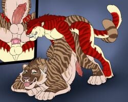 anal anal_penetration angel_(velvetvlade) animal_genitalia animal_penis anthro anthro_on_feral anthro_penetrating anthro_penetrating_feral bared_teeth bestiality big_fangs brown_body brown_fur duo erection eyes_closed fangs felid feline_genitalia feline_penis feral feral_penetrated from_behind_position fur genitals green_eyes hair hi_res killthe_demon male male/male male_penetrated male_penetrating male_penetrating_male mammal markings nude penetration penile penile_penetration penile_spines penis penis_in_ass red_body red_fur red_hair red_penis red_stripes sex short_hair simple_background striped_arms striped_legs striped_markings striped_tail stripes tail tail_markings tan_stripes teeth tongue tongue_out white_body white_fur yellow_body yellow_fur